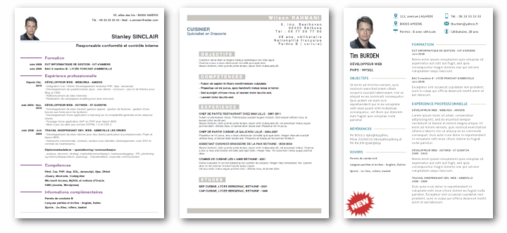 Example of Resume template available with the giga-cv app