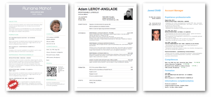 Example of Resume template available with the giga-cv app