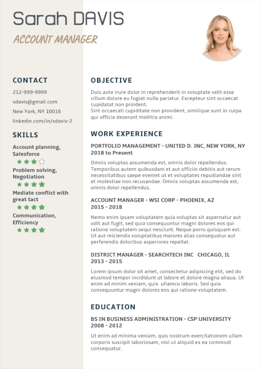 modern and professional resume template