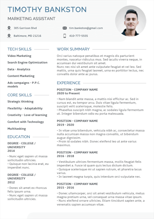 Professional Marketing Resume Example / realized under giga-cv app for iOS and Android devices